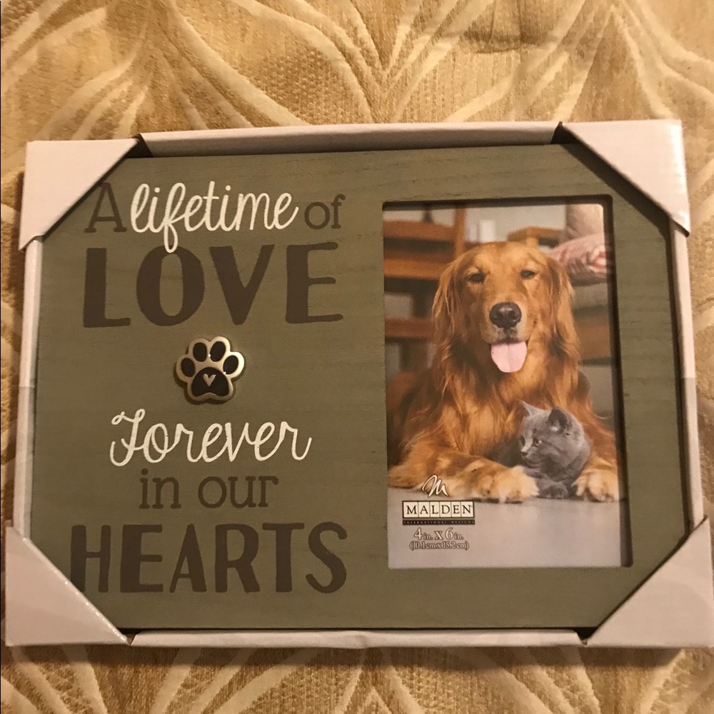Malden Green and Brown 'A Lifetime of Love' Picture Frame